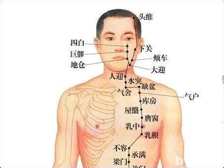 缺盆穴位置|醫砭 » 經穴庫 » 缺盆